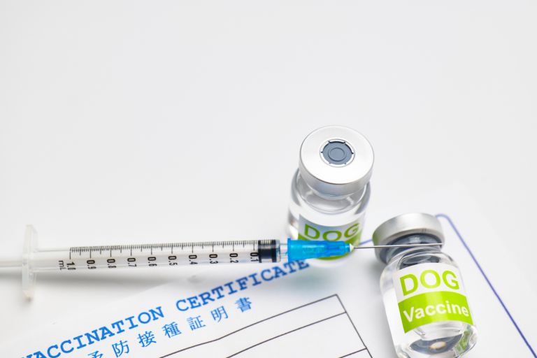 渋谷周辺で歯医者に行かずにいると怖い未来が待ち受ける理由とは